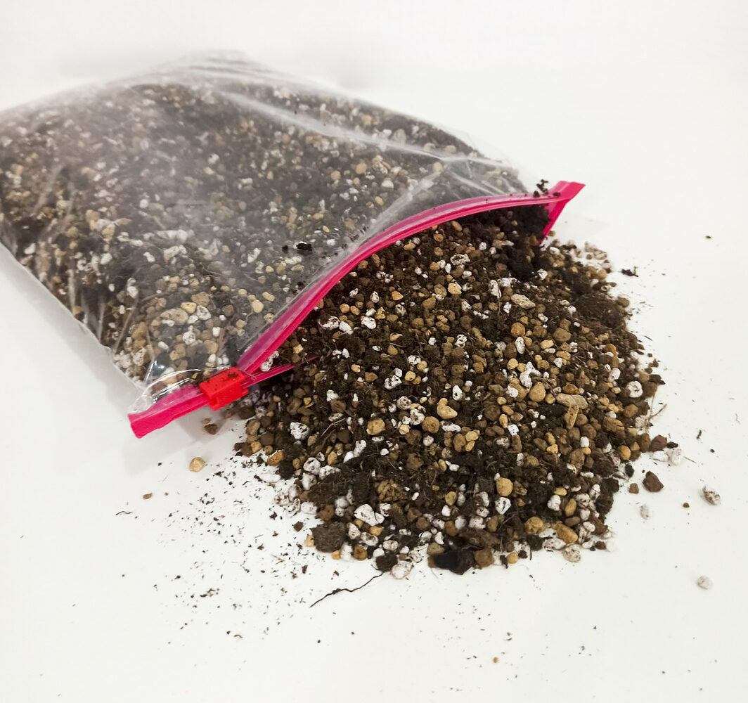 Sustrato begonias premium