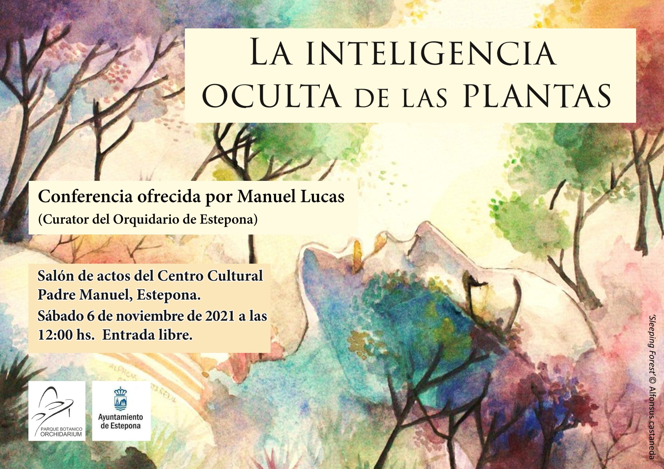 begonias y más VI Feria de Orquídeas en Orchidarium Estepona 2021 5 Conferencia Orchidarium