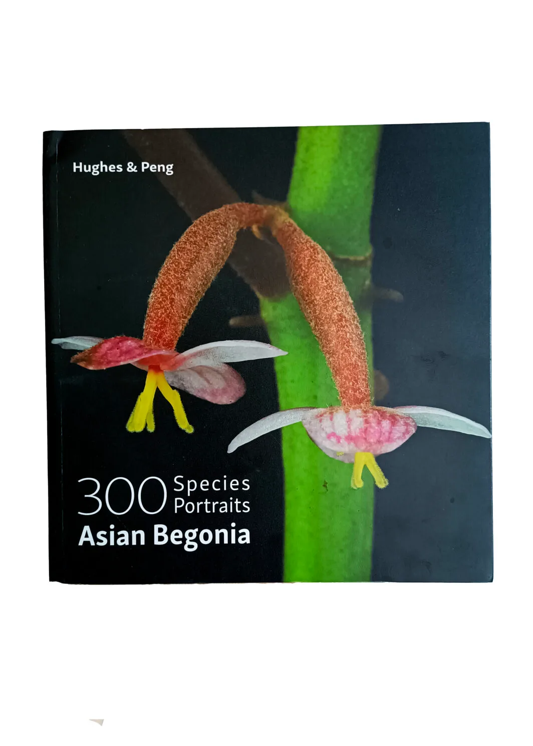 300 Species Portraits Asian Begonia