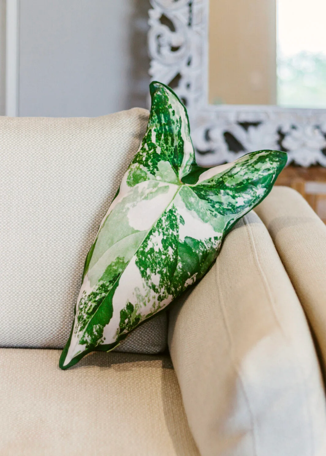 Huggy Leaf – Syngonium variegata