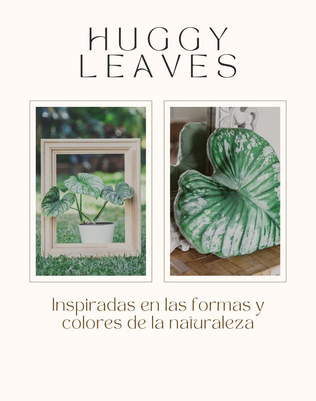 Huggy Leaf – Philodendron mamei