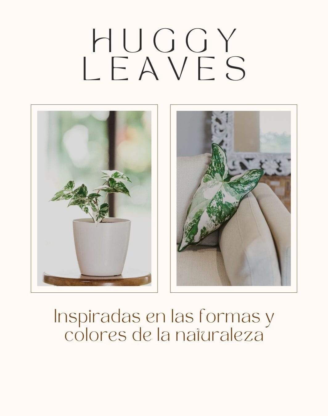 Huggy Leaf – Syngonium variegata